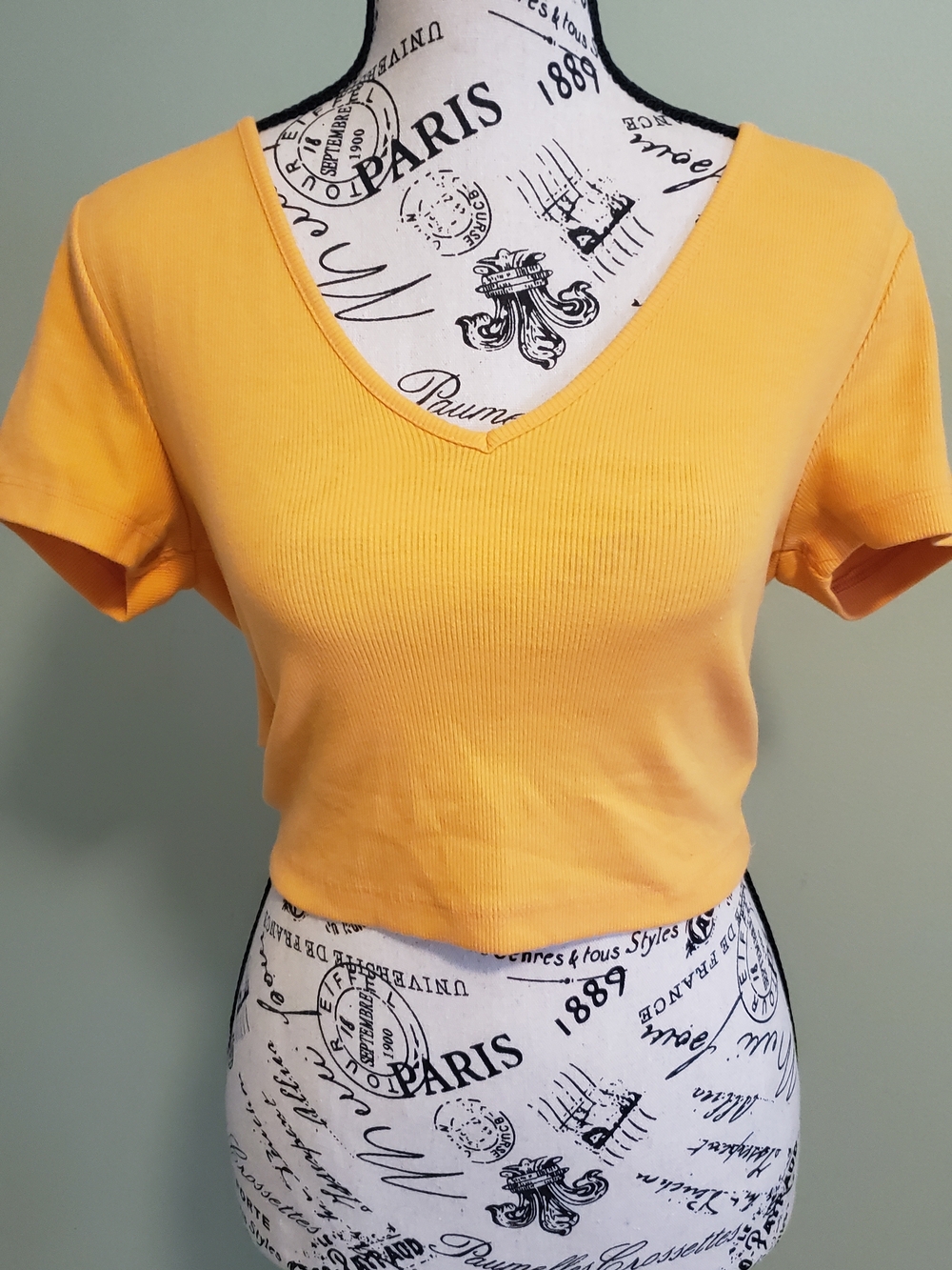 Wild Fable V-Neck Crop Top - Orange